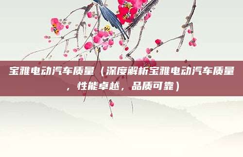 宝雅电动汽车质量（深度解析宝雅电动汽车质量，性能卓越，品质可靠）