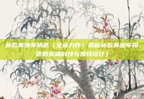 新款奔驰车钥匙（全新力作！揭秘新款奔驰车钥匙的尖端科技与独特设计）