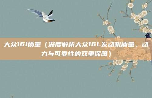 大众16l质量（深度解析大众16L发动机质量，动力与可靠性的双重保障）