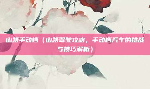 山路手动档（山路驾驶攻略，手动档汽车的挑战与技巧解析）