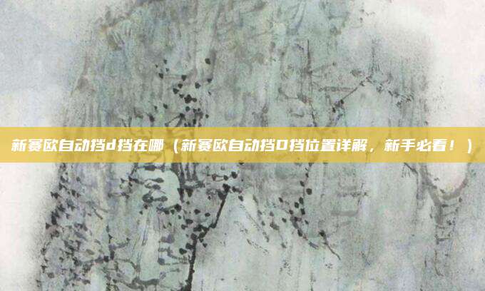 新赛欧自动挡d挡在哪（新赛欧自动挡D挡位置详解，新手必看！）