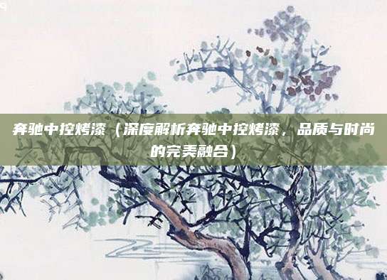 奔驰中控烤漆（深度解析奔驰中控烤漆，品质与时尚的完美融合）