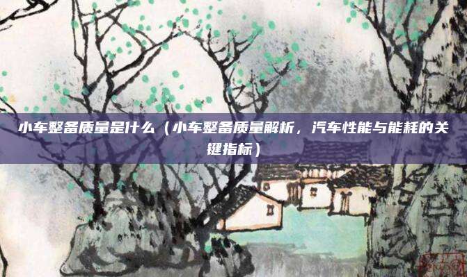 小车整备质量是什么（小车整备质量解析，汽车性能与能耗的关键指标）
