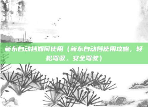 新东自动挡如何使用（新东自动挡使用攻略，轻松驾驭，安全驾驶）