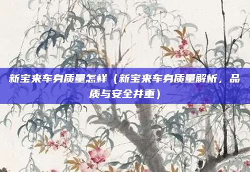 新宝来车身质量怎样（新宝来车身质量解析，品质与安全并重）