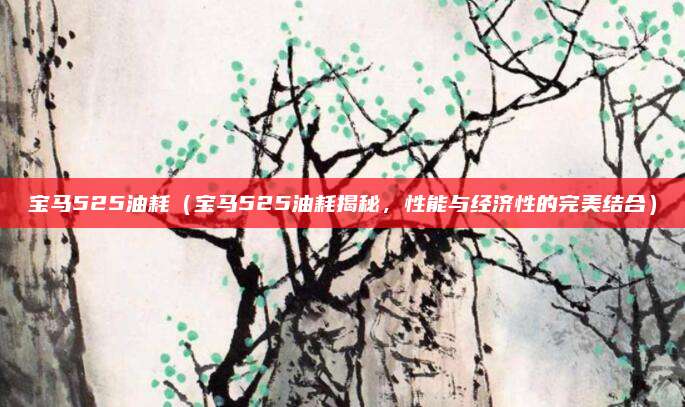 宝马525油耗（宝马525油耗揭秘，性能与经济性的完美结合）