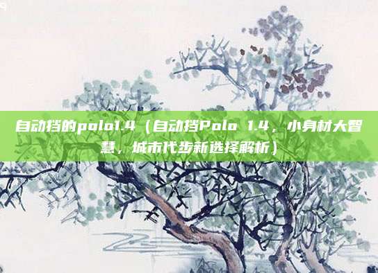 自动挡的polo1.4（自动挡Polo 1.4，小身材大智慧，城市代步新选择解析）