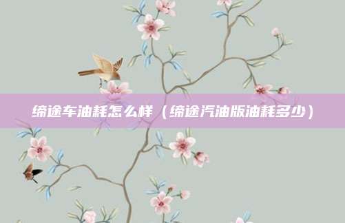 缔途车油耗怎么样(缔途汽油版油耗多少)