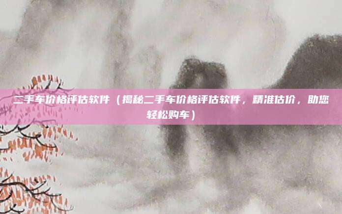 二手车价格评估软件（揭秘二手车价格评估软件，精准估价，助您轻松购车）