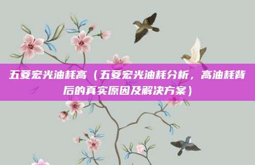 五菱宏光油耗高（五菱宏光油耗分析，高油耗背后的真实原因及解决方案）