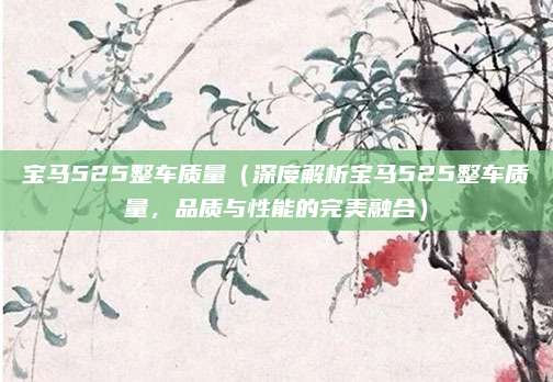 宝马525整车质量（深度解析宝马525整车质量，品质与性能的完美融合）