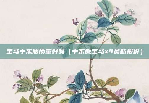 宝马中东版质量好吗(中东版宝马x4最新报价)