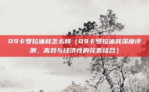 09卡罗拉油耗怎么样（09卡罗拉油耗深度评测，高效与经济性的完美结合）