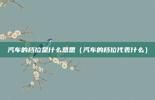 汽车的档位是什么意思(汽车的档位代表什么)