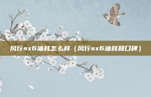 风行sx6油耗怎么样(风行sx6油耗和口碑)