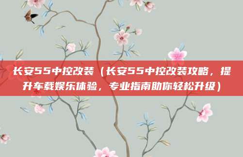 长安55中控改装（长安55中控改装攻略，提升车载娱乐体验，专业指南助你轻松升级）