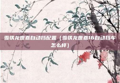 雪铁龙世嘉自动挡配置(雪铁龙世嘉16自动挡车怎么样)
