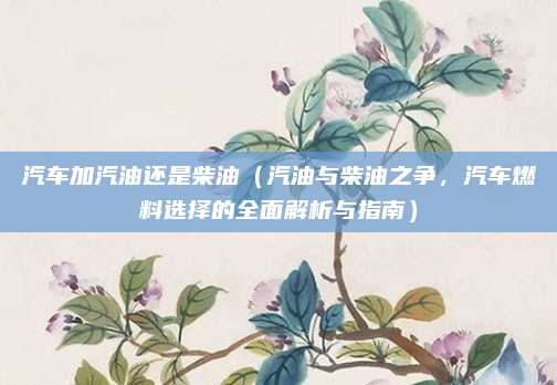 汽车加汽油还是柴油（汽油与柴油之争，汽车燃料选择的全面解析与指南）