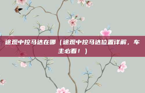 途观中控马达在哪（途观中控马达位置详解，车主必看！）