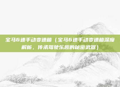 宝马6速手动变速箱（宝马6速手动变速箱深度解析，传承驾驶乐趣的秘密武器）