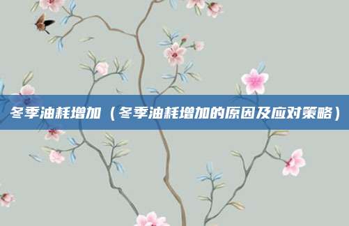 冬季油耗增加（冬季油耗增加的原因及应对策略）
