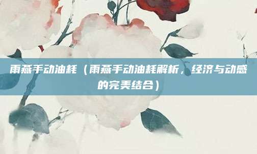 雨燕手动油耗（雨燕手动油耗解析，经济与动感的完美结合）