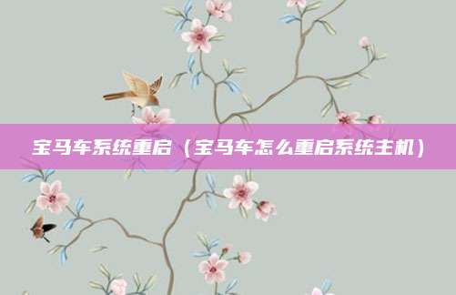 宝马车系统重启(宝马车怎么重启系统主机)