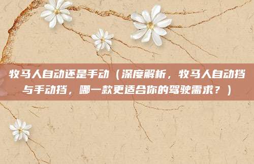牧马人自动还是手动（深度解析，牧马人自动挡与手动挡，哪一款更适合你的驾驶需求？）