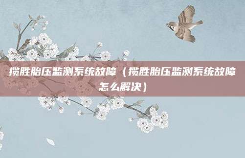揽胜胎压监测系统故障(揽胜胎压监测系统故障怎么解决)