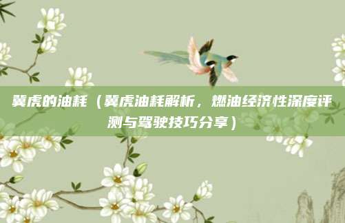 冀虎的油耗（冀虎油耗解析，燃油经济性深度评测与驾驶技巧分享）