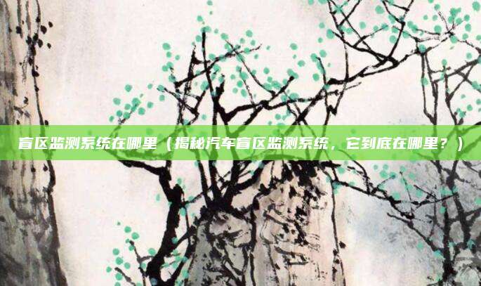 盲区监测系统在哪里（揭秘汽车盲区监测系统，它到底在哪里？）