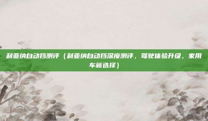 利亚纳自动挡测评（利亚纳自动挡深度测评，驾驶体验升级，家用车新选择）