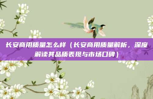 长安商用质量怎么样（长安商用质量解析，深度解读其品质表现与市场口碑）