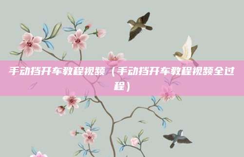 手动挡开车教程视频(手动挡开车教程视频全过程)