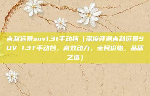 吉利远景suv1.3t手动挡（深度评测吉利远景SUV 1.3T手动挡，高效动力，亲民价格，品质之选）