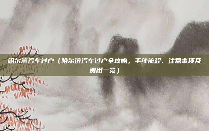 哈尔滨汽车过户（哈尔滨汽车过户全攻略，手续流程、注意事项及费用一览）