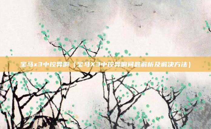 宝马x3中控异响（宝马X3中控异响问题解析及解决方法）