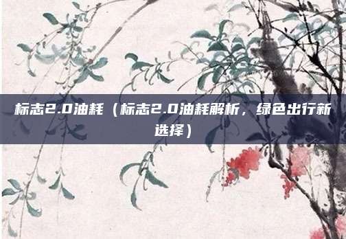 标志2.0油耗（标志2.0油耗解析，绿色出行新选择）
