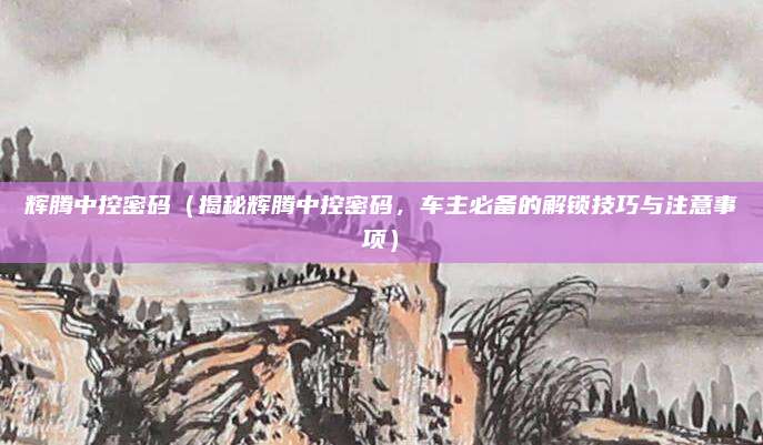 辉腾中控密码（揭秘辉腾中控密码，车主必备的解锁技巧与注意事项）