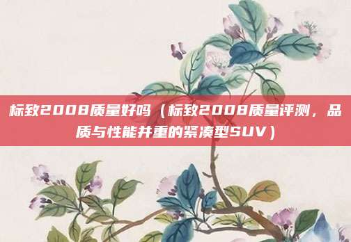 标致2008质量好吗（标致2008质量评测，品质与性能并重的紧凑型SUV）
