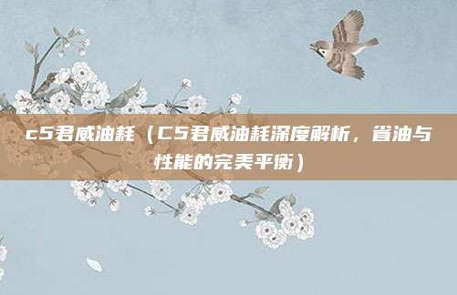 c5君威油耗（C5君威油耗深度解析，省油与性能的完美平衡）