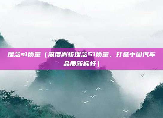 理念s1质量（深度解析理念S1质量，打造中国汽车品质新标杆）
