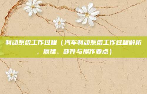 制动系统工作过程（汽车制动系统工作过程解析，原理、部件与操作要点）