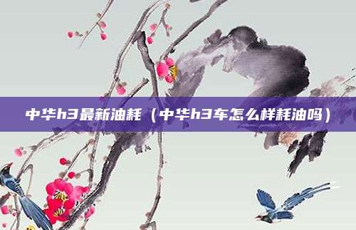 中华h3最新油耗(中华h3车怎么样耗油吗)