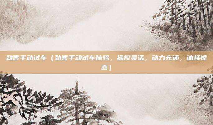 劲客手动试车（劲客手动试车体验，操控灵活，动力充沛，油耗惊喜）