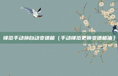锋范手动换自动变速箱(手动锋范更换变速箱油)