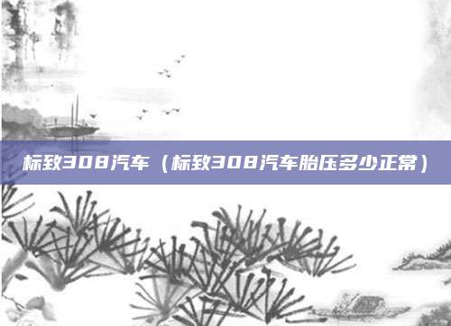 标致308汽车(标致308汽车胎压多少正常)