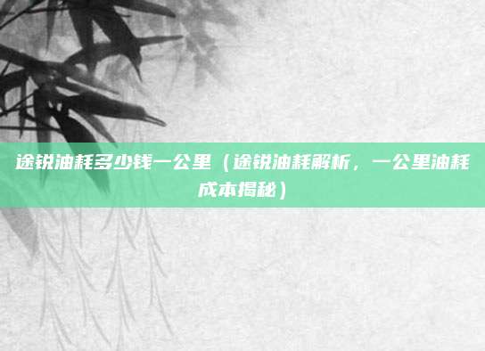 途锐油耗多少钱一公里（途锐油耗解析，一公里油耗成本揭秘）