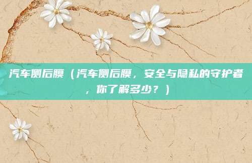 汽车侧后膜（汽车侧后膜，安全与隐私的守护者，你了解多少？）