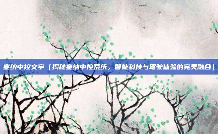塞纳中控文字（揭秘塞纳中控系统，智能科技与驾驶体验的完美融合）